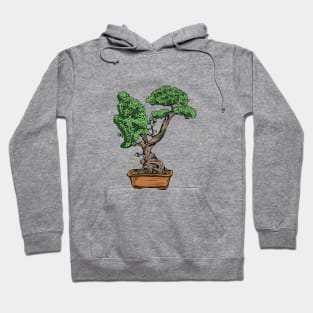 Bonsai Thinking Hoodie